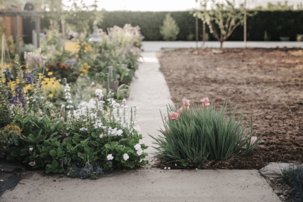 Pacs et séparation  Déterminer la répartition des biens communs pour éviter